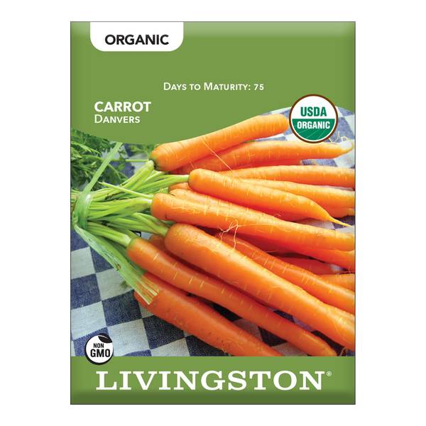 Photo of ORGANIC - CARROT - DANVERS