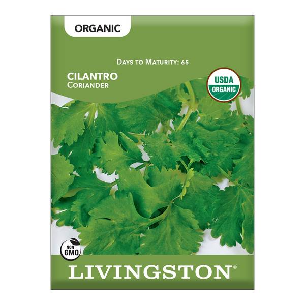 Photo of ORGANIC - CILANTRO/CORIANDER