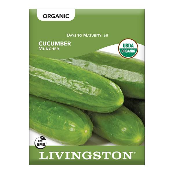 Photo of ORGANIC - CUCUMBER - MUNCHER