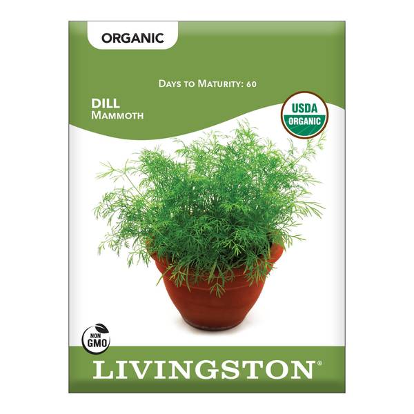 Photo of ORGANIC - DILL - MAMMOTH