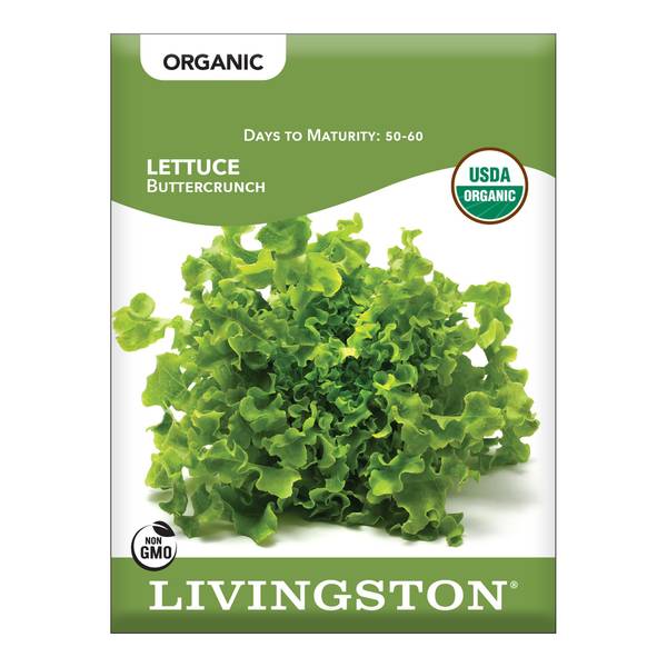 Photo of ORGANIC - LETTUCE - BUTTERCRUNCH