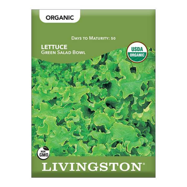 Photo of ORGANIC - LETTUCE - GREEN SALAD BOWL