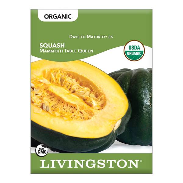 Photo of ORGANIC - SQUASH MAMMOTH TABLE QUEENBUSH