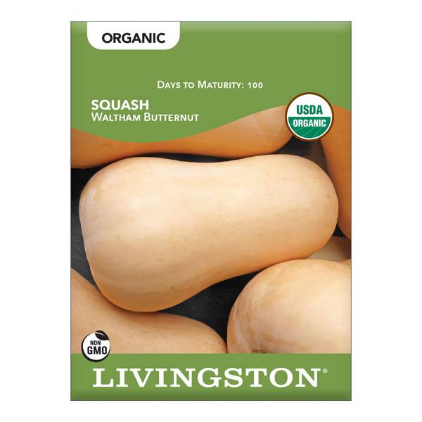Photo of ORGANIC - SQUASH - WALTHAM BUTTERNUT