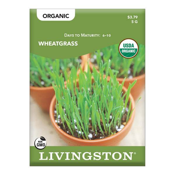 Photo of ORGANIC - WHEATGRASS