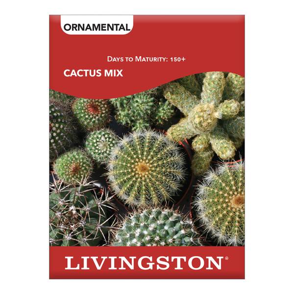Photo of CACTUS MIX