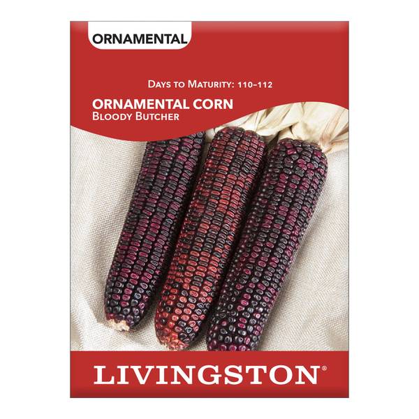 Photo of Ornamental Corn Bloody Butcher