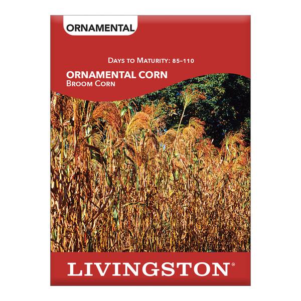 Photo of ORNAMENTAL CORN - BROOM CORN