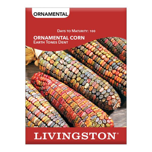 Photo of ORNAMENTAL CORN - EARTH TONES DENT