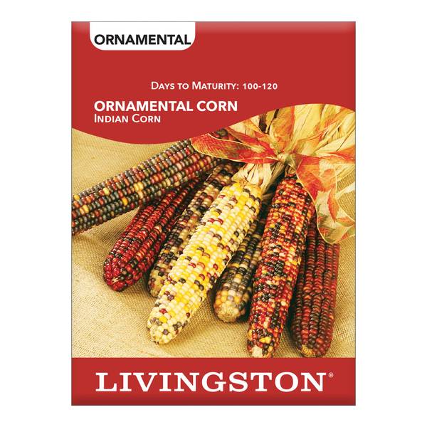 Photo of ORNAMENTAL CORN - INDIAN CORN