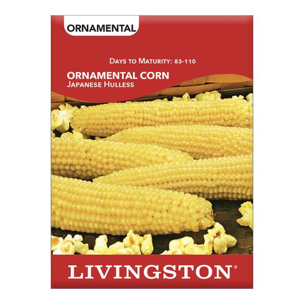 Photo of ORNAMENTAL CORN - JAPANESE HULLESS