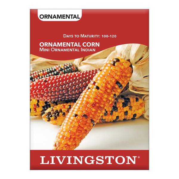 Photo of ORNAMENTAL CORN - MINI ORNAMENTAL INDIAN