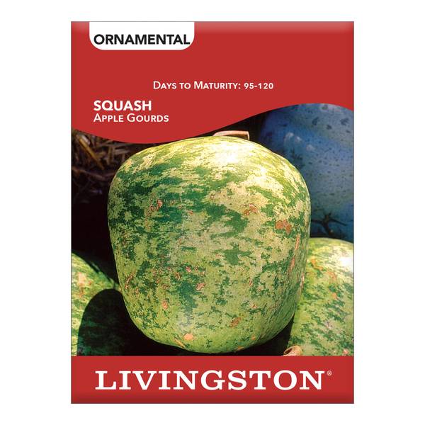 Photo of SQUASH - APPLE GOURDS