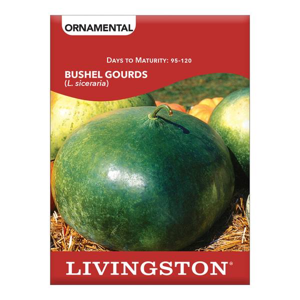 Photo of SQUASH - BUSHEL GOURDS