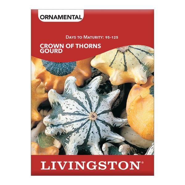 Photo of SQUASH - CROWN OF THORNS GOURD