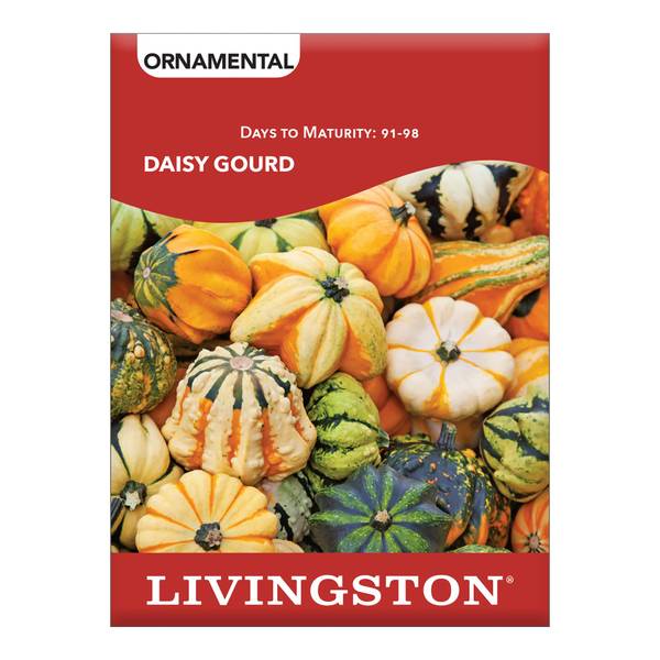 Photo of SQUASH - DAISY GOURD