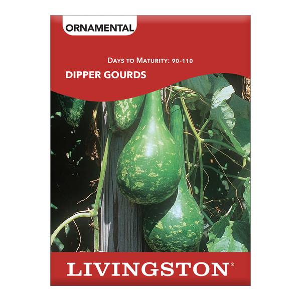 Photo of SQUASH - DIPPER GOURDS