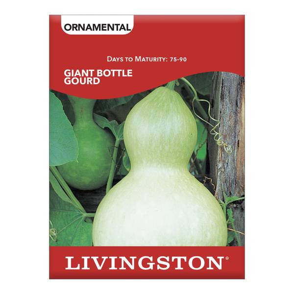 Photo of SQUASH - GIANT BOTTLE GOURD