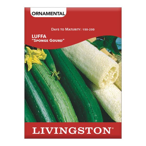 Photo of SQUASH - LUFFA