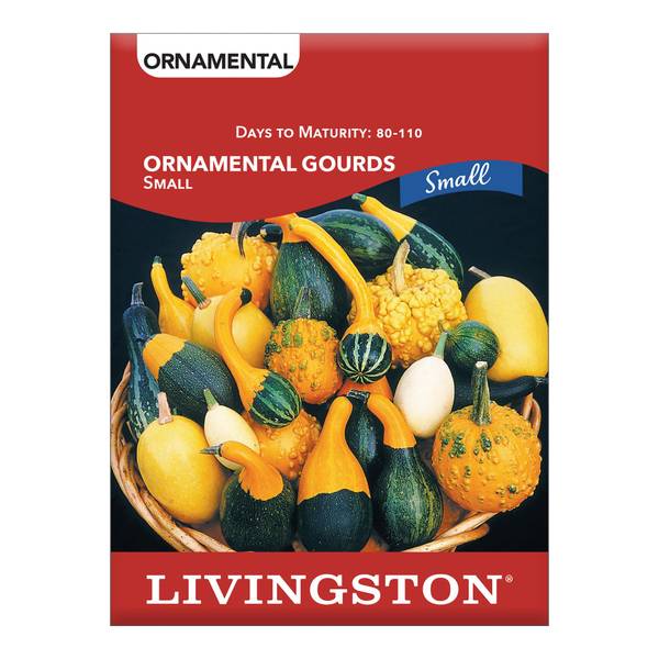 Photo of Squash - Ornamental Gourds