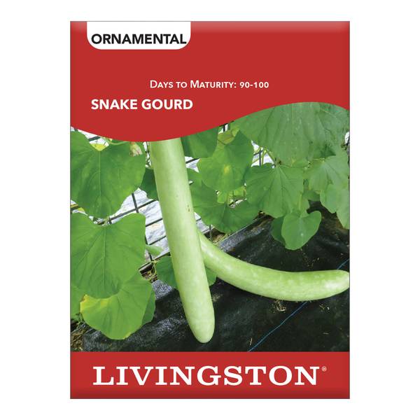 Photo of SQUASH - SNAKE GOURD