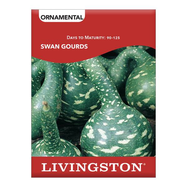 Photo of Swan Gourds Squash