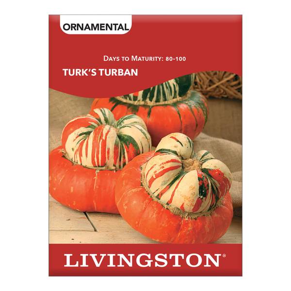 Photo of SQUASH - TURK'S TURBAN