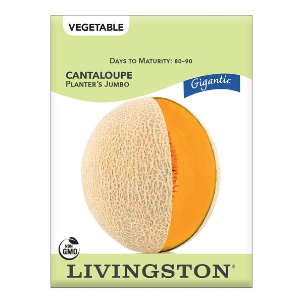 Photo of CANTALOUPE - PLANTER'S JUMBO