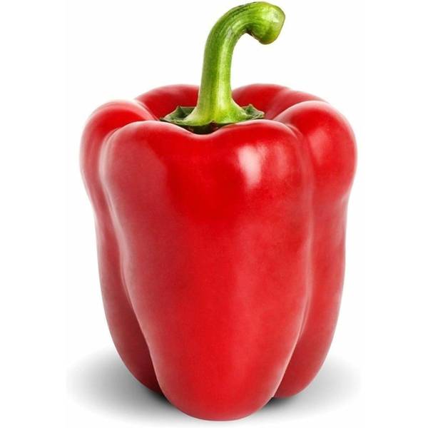 Photo of GIGANTIC - PEPPER - BIG RED