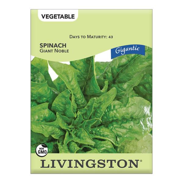 Photo of Giant Nobel Spinach