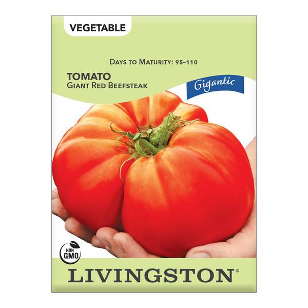 Photo of GIGANTIC - TOMATO - GIANT RED BEEFSTEAK
