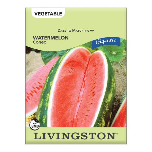 Photo of Gigantic Congo Watermelon