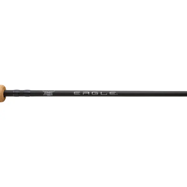 Fenwick 6'3