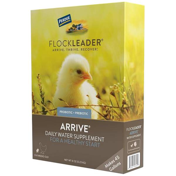 Photo of 8 oz FlockLeader Arrive