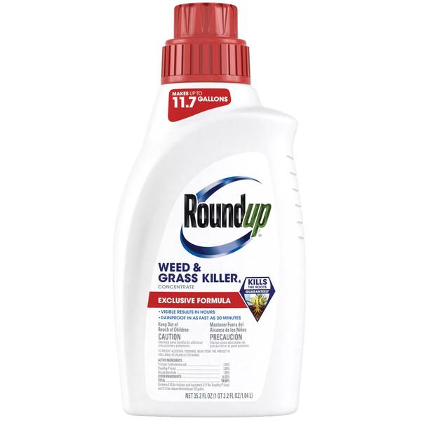 UPC 070183000166 product image for Roundup 35.2 oz Weed & Grass Killer Concentrate Plus | upcitemdb.com