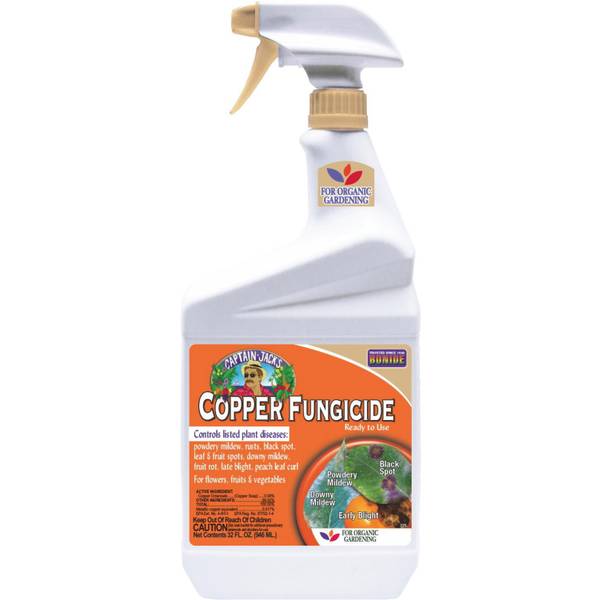 Captain Jack's 32 oz Copper Fungicide ReadytoUse Spray 7756 Blain