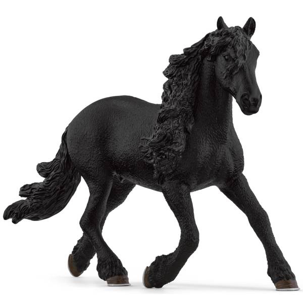 Photo of Friesian Stallion