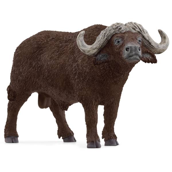 Photo of African Buffalo