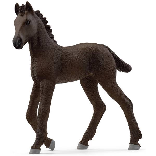 Photo of Frisian Foal