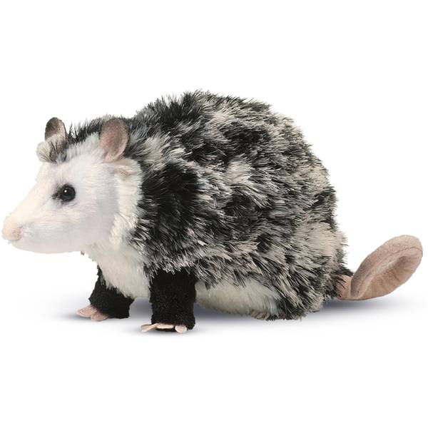 Photo of Oliver the Possum