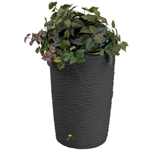Photo of Impressions Eco Palm 50 Gallon Rain Saver