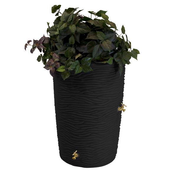 Photo of Black Impressions Palm 50 Gallon Rain Saver