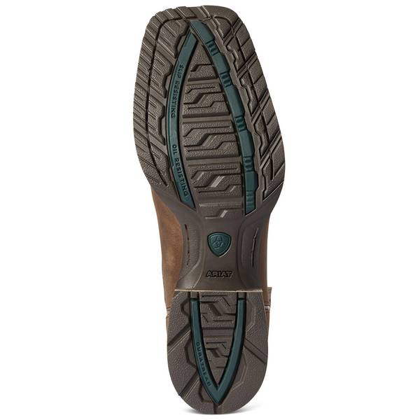 ARIAT Men display picture 1