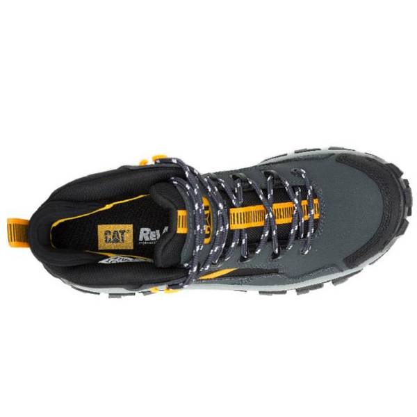 その他 mebius P91664.jpg?profile=thumbnail