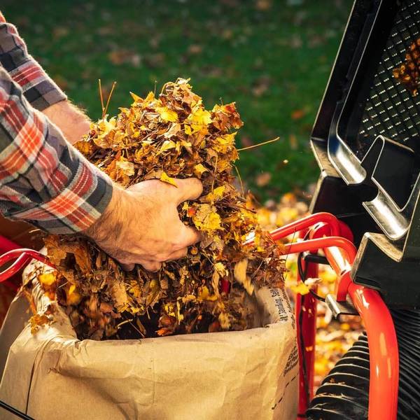 DR Power PILOT XTSP Self-Propelled Leaf and Lawn Vacuum