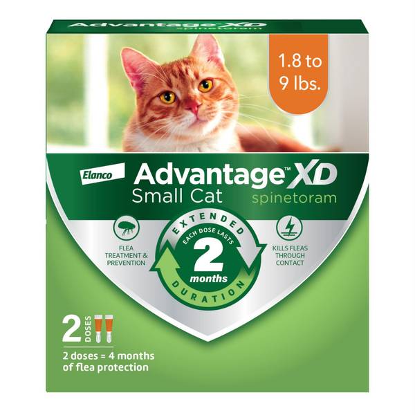 Elanco Advantage XD Small Cat Flea Prevention Treatment for Cats 1.8 9 lbs ADV56478 Blain s Farm Fleet