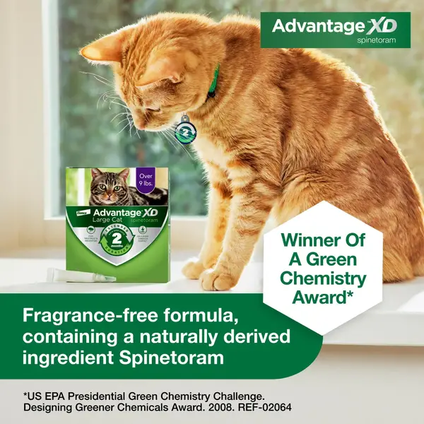 Elanco Advantage XD Large Cat Flea Prevention & Treatment for Cats