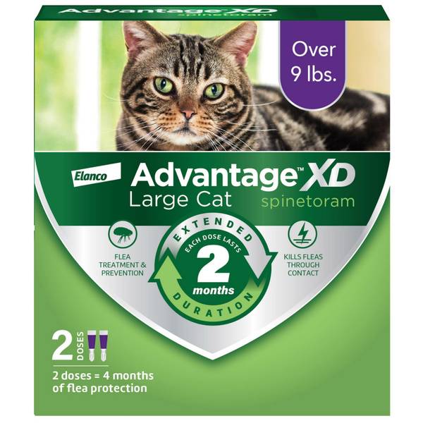 Photo of Advantage XD Large Cat Flea Prevention & Treatment for Cats over 9lbs