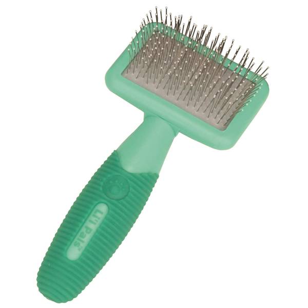 Photo of Kitten Slicker Brush with Coated Tips