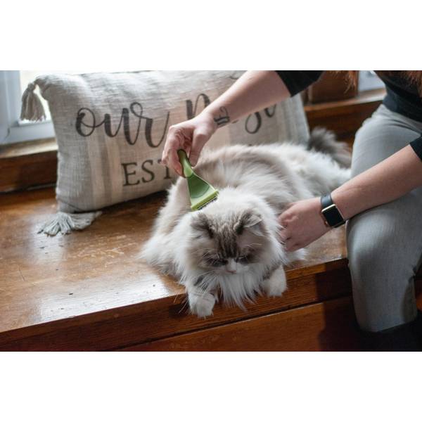 Safari Shed Magic De-Shedding Tool for Cats with Medium to Long